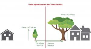 Les branches des arbres ne doivent pas dépasser le fonds voisin. En cas de défaut d'exécution du propriétaire des arbres, vous ne pouvez les élaguer vous-mêmes, seul le recours au tribunal est possible pour ordonner les travaux.