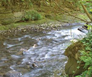 L’interdiction de fertiliser des parcelles dès 10% de pente à proximité des cours d’eau est remplacée par une autorisation sous la condition d’une bande végétalisée continue non fertilisée d’au moins 5 mètres de large ou d’un talus d’au moins 50 cm.