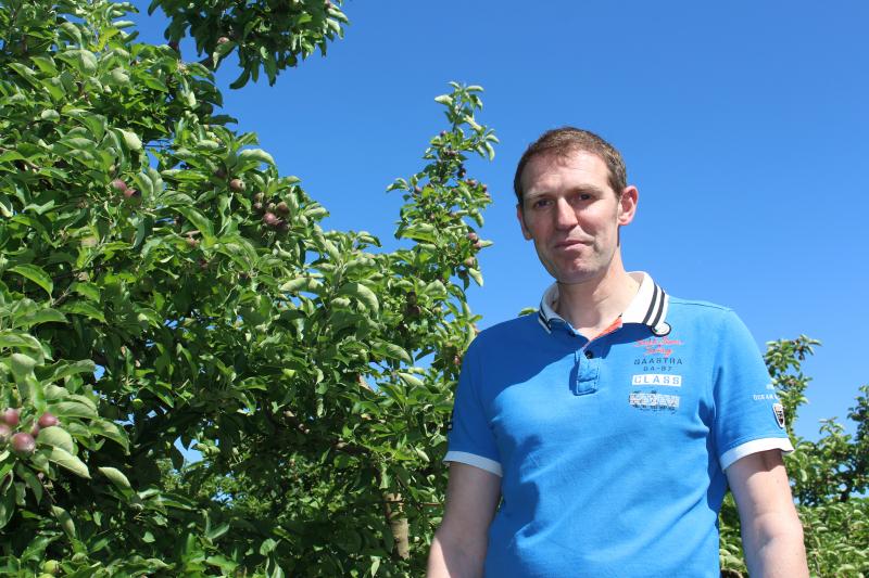 Ghislain Jonnart propose de cueillir en saison les pommes de ses vergers de treize variétés différentes.