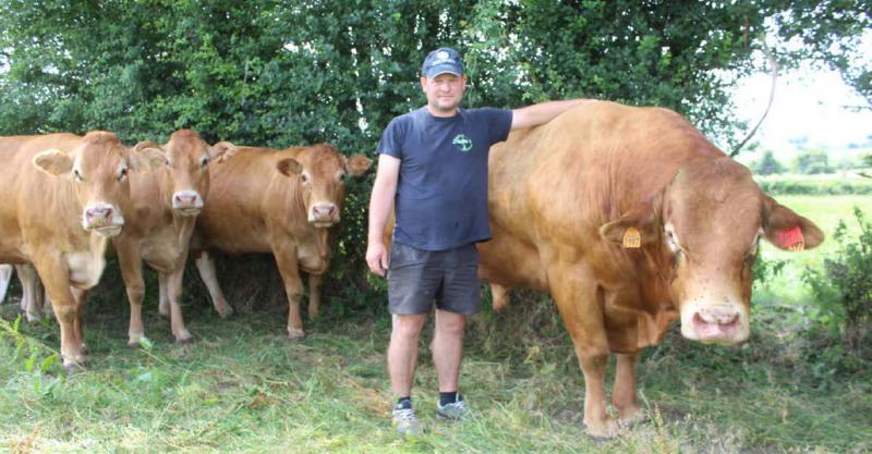 Le nordiste Emmanuel Pouleur entend rassembler les éleveurs régionaux de vaches de race limousine et accompagner son développement.