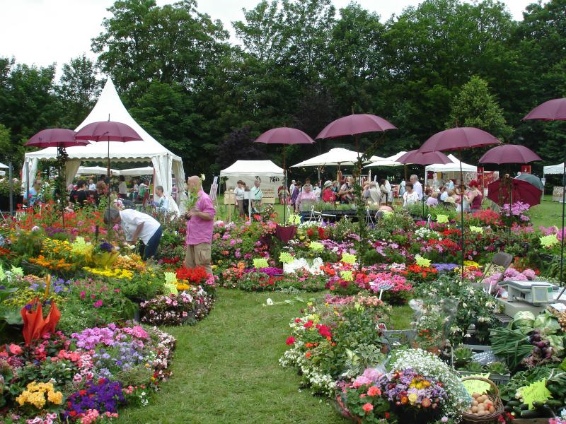 Un site d’exception pour des journées dédiées à la plus belle des fleurs. (© agence de presse)