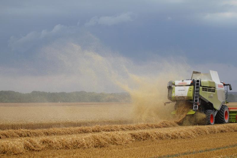 Les terres difficiles du Sud-Ouest ont souffert du manque d’eau qui a littéralement fait fondre les rendements.