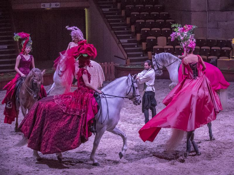 Le nouveau spectacle équestre de Chantilly (© ©RBPresse-S.Rispail)