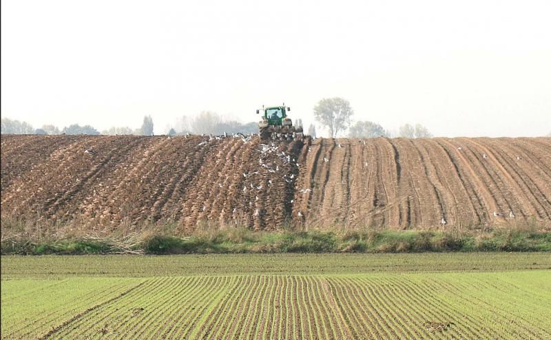 L’augmentation des départs à la retraite explique l’afflux de foncier, un afflux qui devrait prendre de l’ampleur à partir
de 2020 en raison de l’âge moyen élevé des exploitants agricoles.