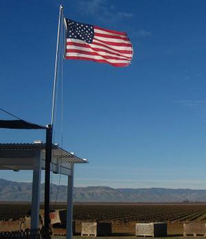 Le Farm bill, grande loi agricole des États-Unis, va entrer en discussion.