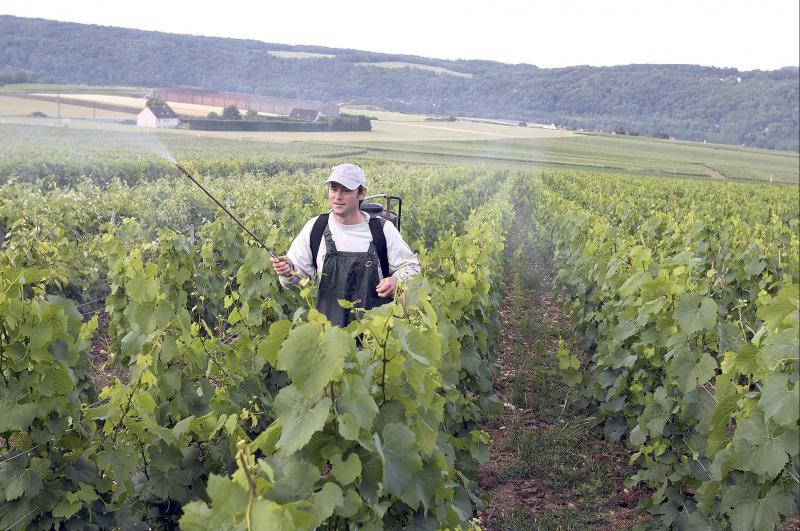 Sur près de six cents agriculteurs français, 41 % des exploitants en agriculture conventionnelle utilisent des produits de biocontrôle, tout comme 50 % des agriculteurs bio.