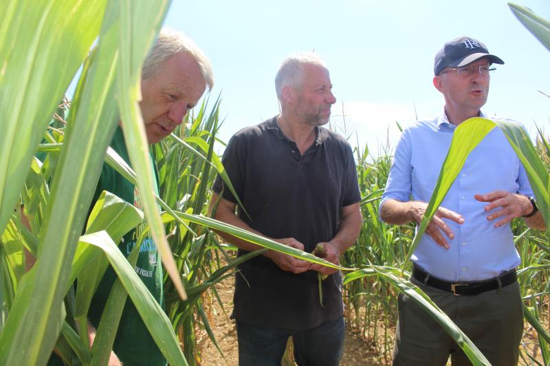 Luc Smessaert, président de la Chambre d'agriculture, Régis Desrumaux, président de la FDSEA, et Jean-Marie Caillaud, préfet de l'Oise, ont visité des parcelles de maïs à la peine, ici chez Vivien Blatier.