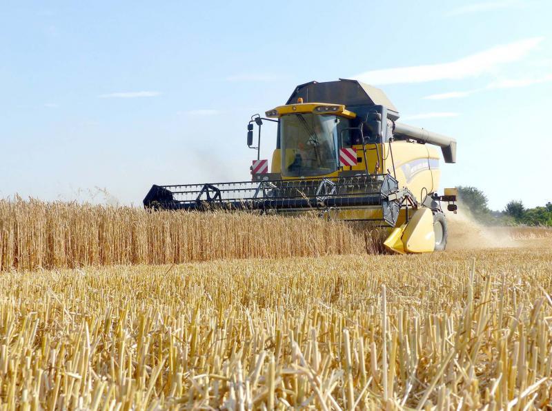 Selon Arvalis, 35 millions de tonnes de blé tendre devraient être récoltées contre 36,6 en 2017.
