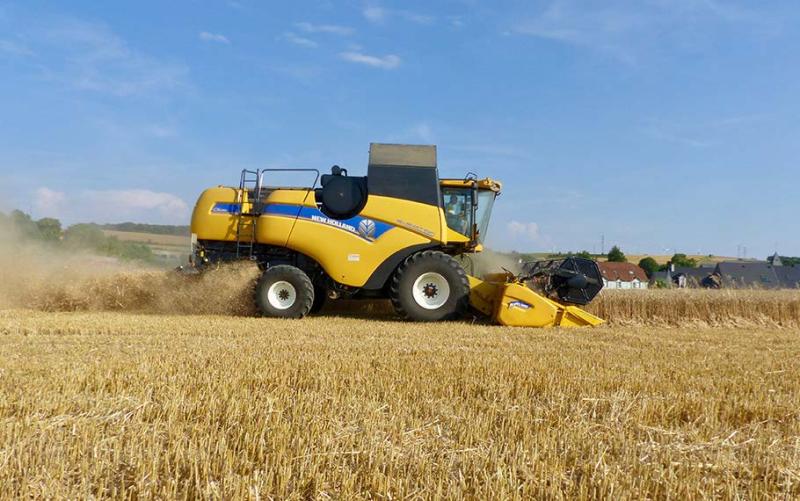 Selon le Cerfrance Picardie Nord de Seine, la marge brute par hectare pour le blé pourrait se situer à 1 390 EUR en 2023.