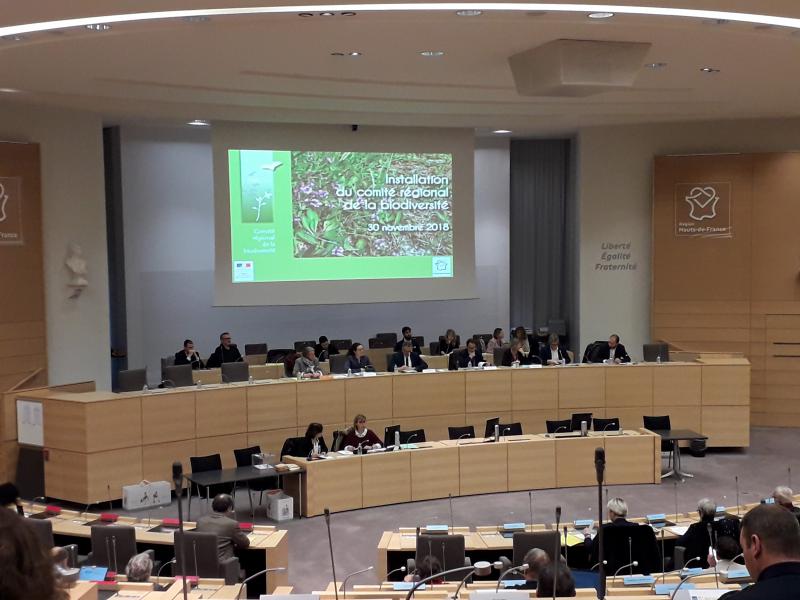Mise en place du parlement de la biodiversité au niveau régional.