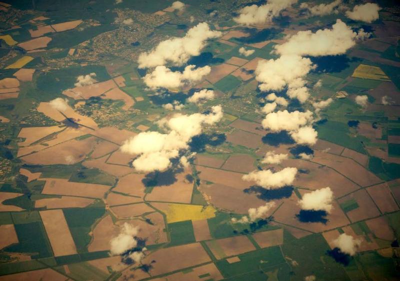 L’agriculture et la forêt seront prioritaires pour la compensation des émissions carbone du secteur aérien.