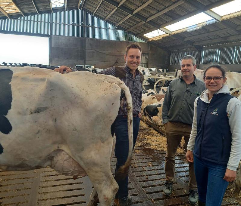 1 650 éleveurs (lait, viande et chèvres) font confiance aux conseillers d'ACE, comme les associés du Gaec Rattekot,
dans les Flandres, conseillés par Célestine Burette.