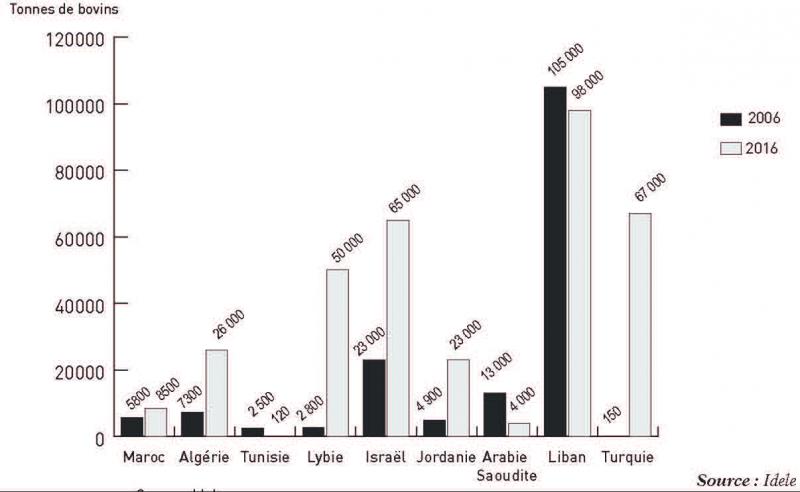 000La Turquie, Israël, la Libye et la Jordanie ont fortement augmenté leurs importations de bovins vifs en dix ans. Mais ces marchés restent très fluctuants (décisions politiques, maladies, etc.).