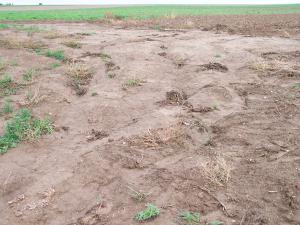 Des coulées de boue consécutives à des orages violents en mai et juin dans lOise. Des habitations ont été touchées.