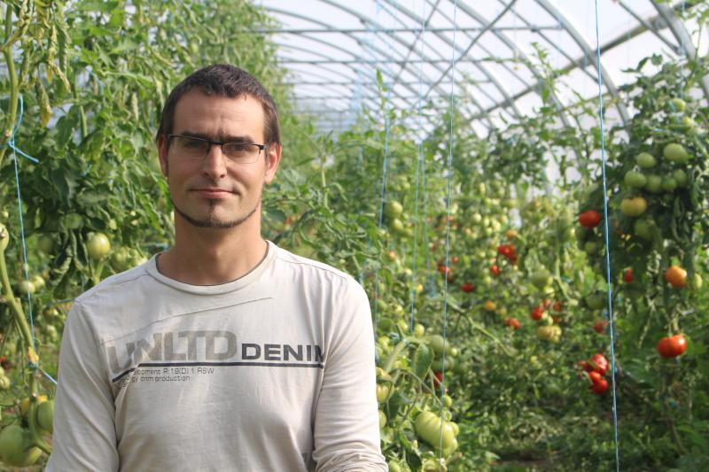 Sébastien Neuville dans sa première serre qui accueille tomates, concombres, aubergines et carottes.