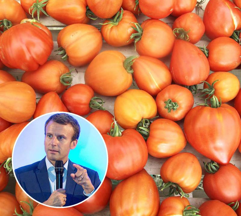 Emmanuel Macron a passé l’après-midi, mercredi 22 avril, dans une serre de tomates puis un supermarché du Finistère, afin de rendre hommage à toute la chaîne de «la ferme France», symbole de la «deuxième ligne» de la «guerre» contre le coronavirus.
