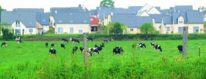 Au lieu de construire en périphérie, mieux vaut favoriser loccupation des logements vacants de centre-bourg.