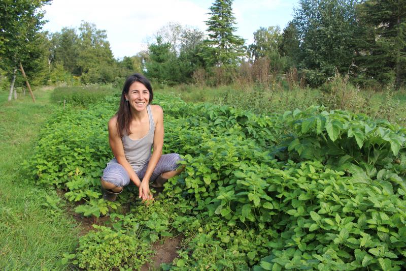 Mathilde Perrichon au milieu de sa mélisse, son angélique et sa menthe poivrée.