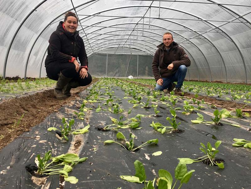 À Thiers-sur-Thève (60), Colette Ringeval et Corentin Bleyaeart ont trouvé le lieu propice au développement de leurs activités très diversifiées : maraîchage bio, poules pondeuses bio, production de miel, pension de chevaux et vente à la ferme.