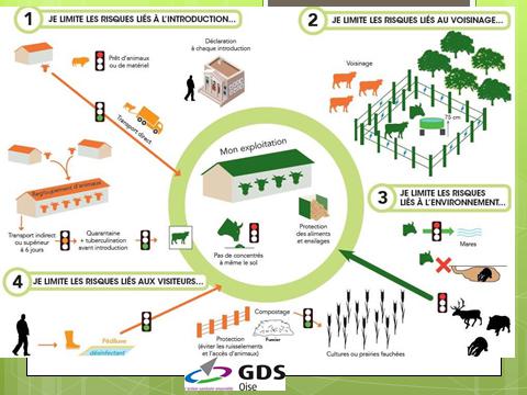 La biosécurité sera un jour obligatoire dans tous les élevages bovins .