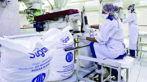 Si un accord a été trouvé pour le sucre, les exportations ukrainiennes de blé et d& apos;orge restent exclues d& apos;un dispositif de frein d& apos;urgence. - dr
