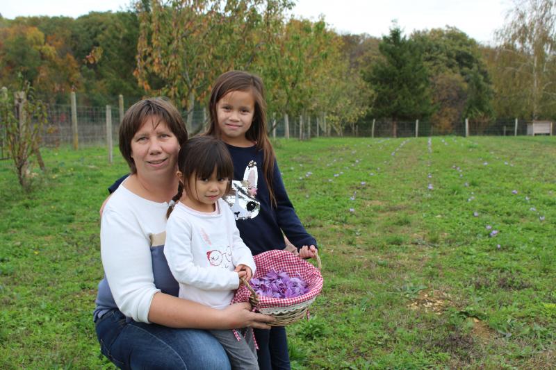 La famille Vinet vous attend pour visiter les plantations de safran. Pour les informations, visitez la page Facebook Fleurs de Safran.