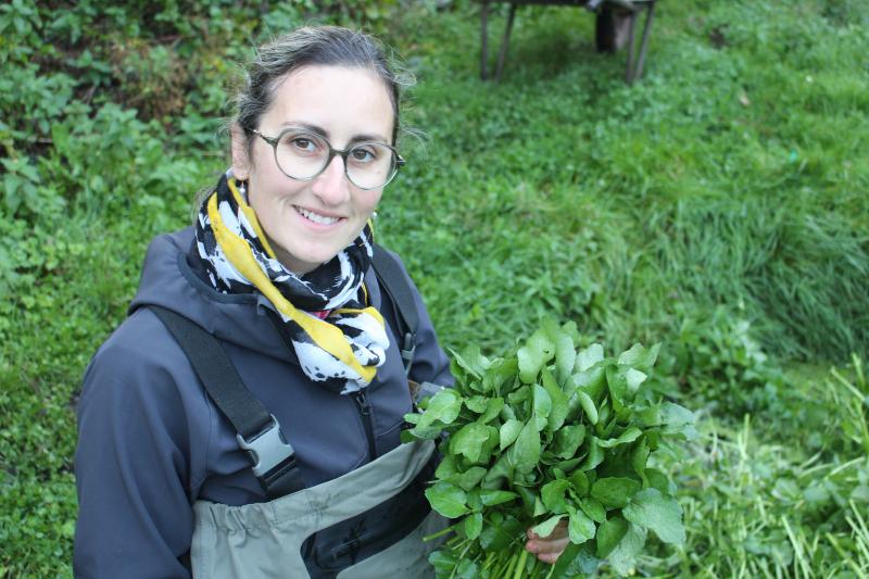Julie Bonvallet a repris le flambeau familial et récolte du cresson sur 18 ares à Bresles.