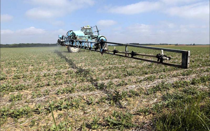 L’utilisation de produits phytopharmaceutiques a globalement augmenté depuis le lancement du plan Ecophyto en 2009.