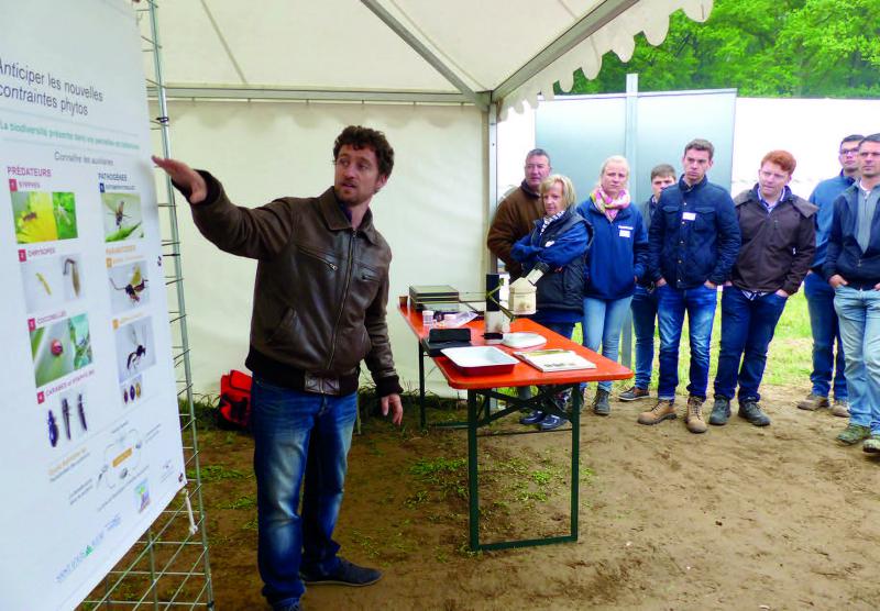 Le premier levier, pour anticiper les nouvelles contraintes phyto, est tout simplement la biodiversité présente dans les parcelles.
