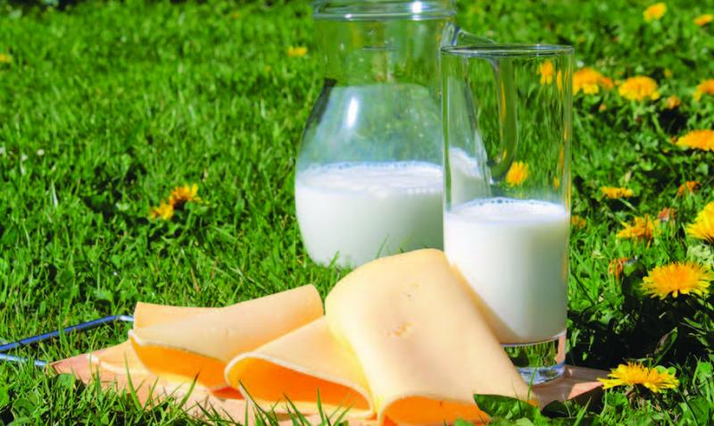23 % des Français ont renoncé à acheter du lait, des produits laitiers ou des oeufs au cours des douze derniers mois.