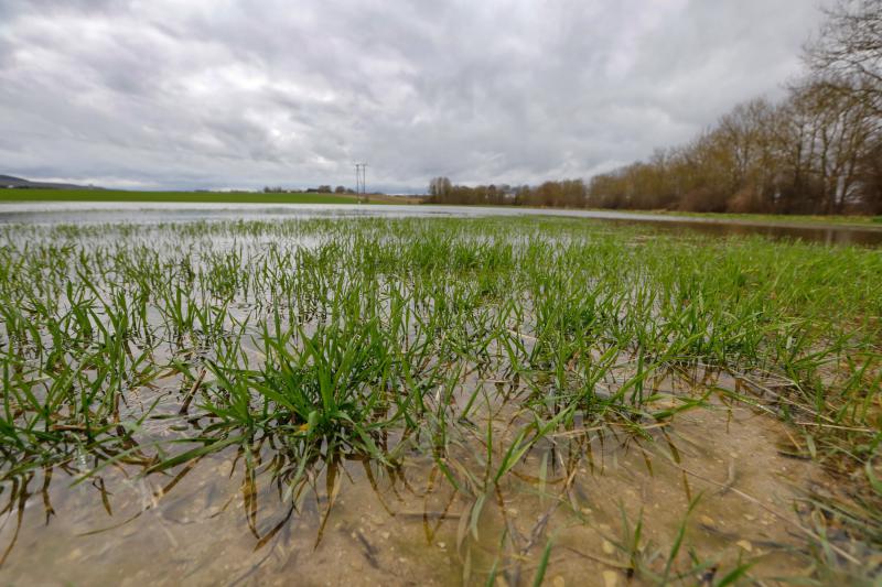 «Il n’y a pas de raison objective d’incriminer les agriculteurs dans la genèse de la crue actuelle» affirme Vazken Andréassian, directeur adjoint scientifique à l’Institut de recherche en sciences et technologies pour l’environnement et l’agriculture (Irstea).