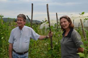 Dans les Jardins de Pontarcher, chez Sophie et François Desmarest, 5 produits phare font 80% du chiffre d’affaires: les fraises, les pommes, pommes de terre, tomates, haricots verts.