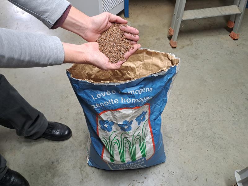Afin de répondre à la demande de la filière, Linéa souhaite étendre sa production de semences de lin fibre sur le territoire.