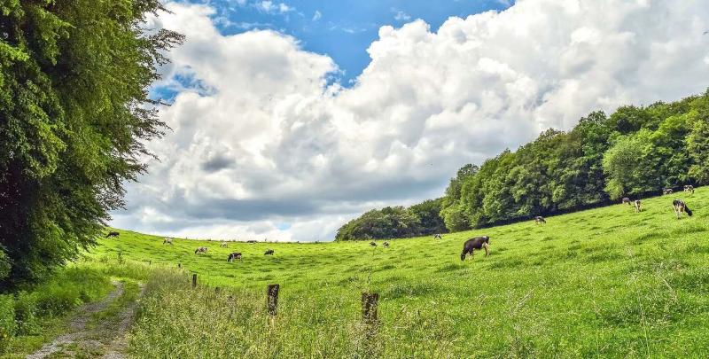 Dans le rapport de 28 pages, on trouve notamment la reprise des objectifs du plan Ecophyto, une augmentation de la TGAP sur les engrais azotés, l’interdiction des subventions aux élevages qui ne réduisent par leurs émissions, la création d’un label agroécologique pour les consommateurs.