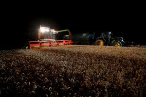 Une moisson qui se sera éternisée et qui s'annonçait pourtant prometteuse.