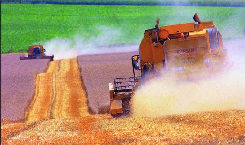 Les différentes filières agricoles attendent des États généraux de l’alimentation une répartition de la valeur.