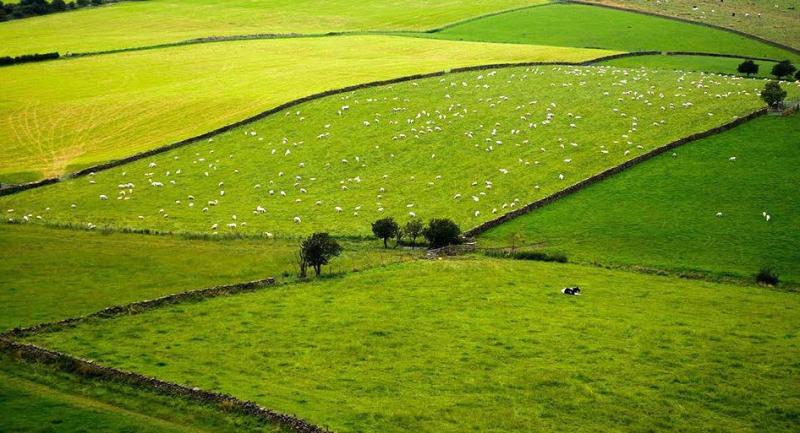Le Royaume-Uni doit reconstruire une politique agricole, une politique
environnementale et une politique commerciale.