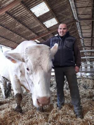 Tony Liège, éleveur de vaches charolaises, souhaite alerter les éleveurs sur la nécessité de faire vacciner les troupeaux pour lutter contre la BVD.