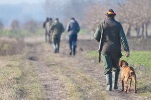 La saison de chasse s’ouvre sur de nombreuses nouveautés à commencer par la réduction du tarif du permis de chasser.