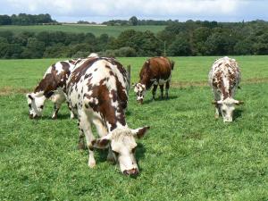 Biotex a été créé pour aider les éleveurs à mieux comprendre le potentiel de biodiversité de leurs parcelles et du territoire dans lequel ils évoluent.