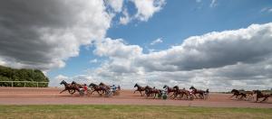 Le public pourra à nouveau suivre les cours aux hippodromes.