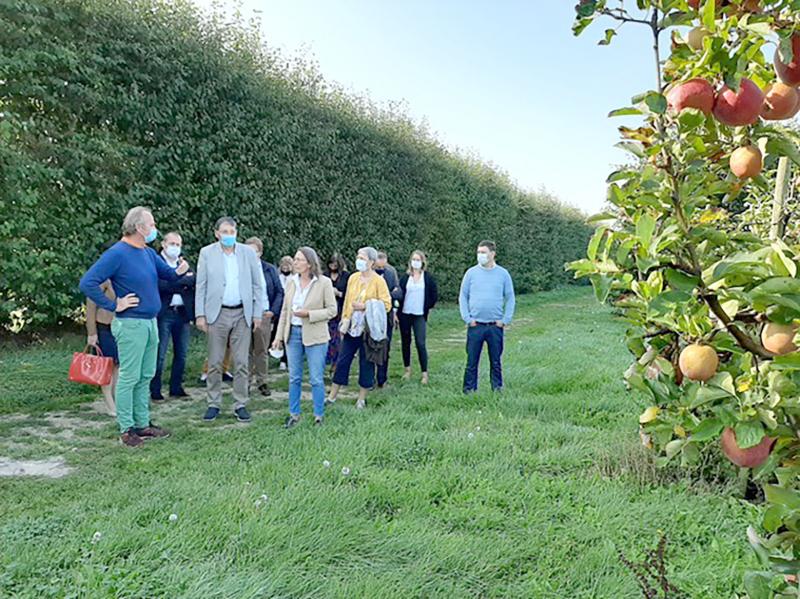 Les pommes, jus et purées de fruits du Domaine de Moismont vont bénéficier d’une sur-exposition pendant une semaine auprès d’acheteurs de la restauration collective en espérant que cela porte ses fruits en pérennisant des débouchés.