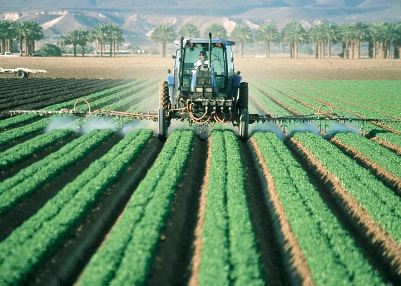 Les agriculteurs français sont exposés à une concurrence qui, à l’autre bout du monde, continue d’utiliser du 2,4-D
dans ses champs.